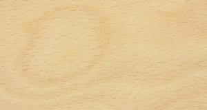 beech-white-crown-cut.jpg beech-white-crown-cut.jpg